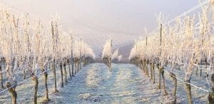 Explore the CT Winter Wine Trail